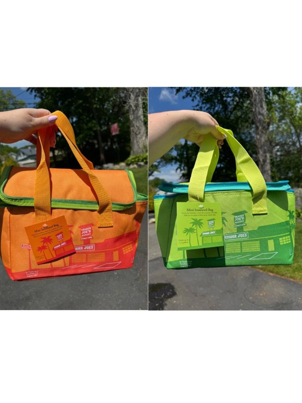 NWT! Trader Joe’s Mini Insulated Cooler Bags Set of 2 Orange & Lime